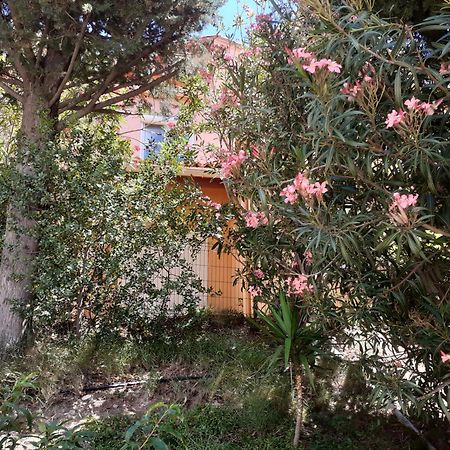 Bel Appartement Bord De Mer Cerbère Exterior foto