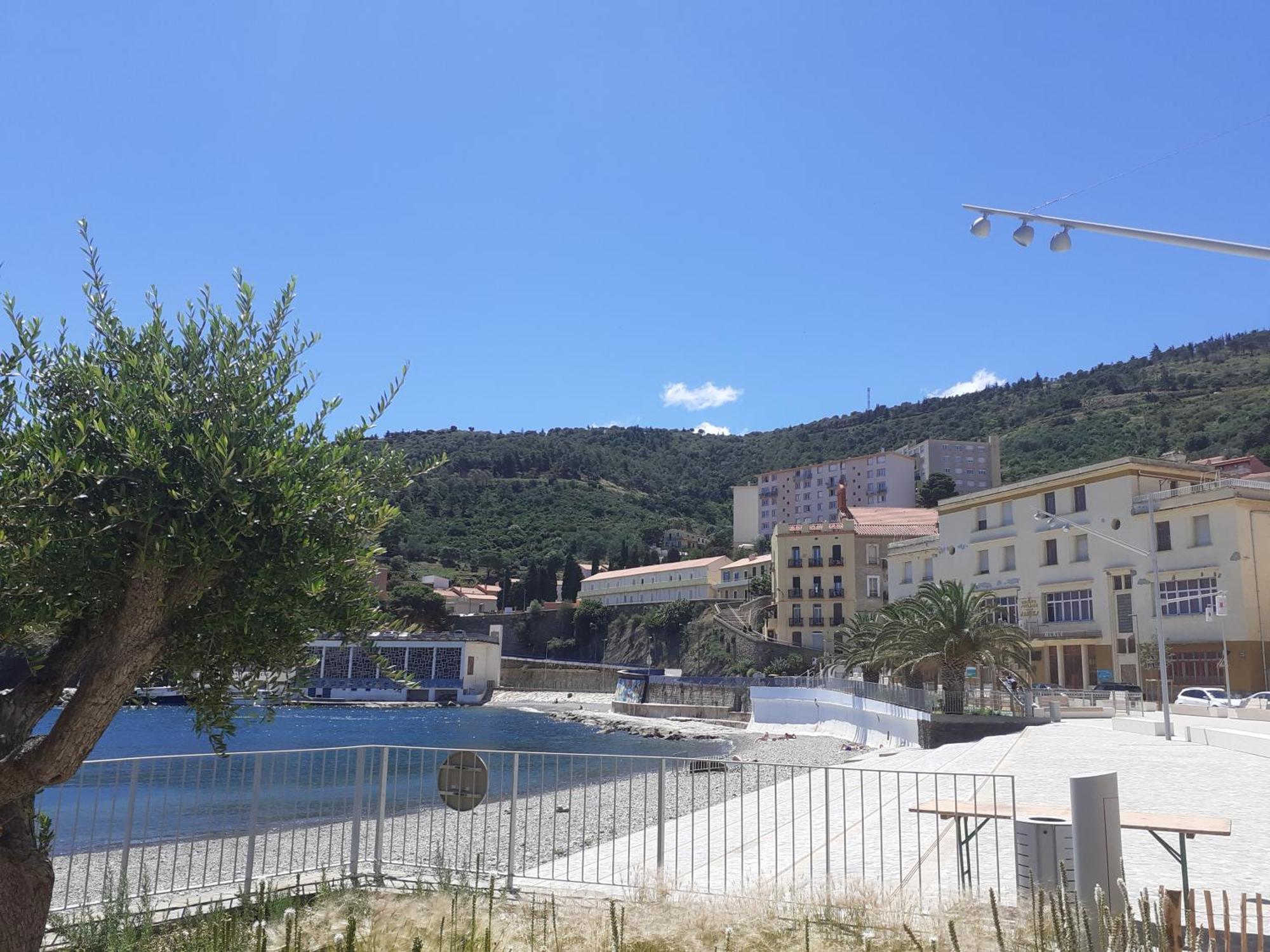 Bel Appartement Bord De Mer Cerbère Exterior foto