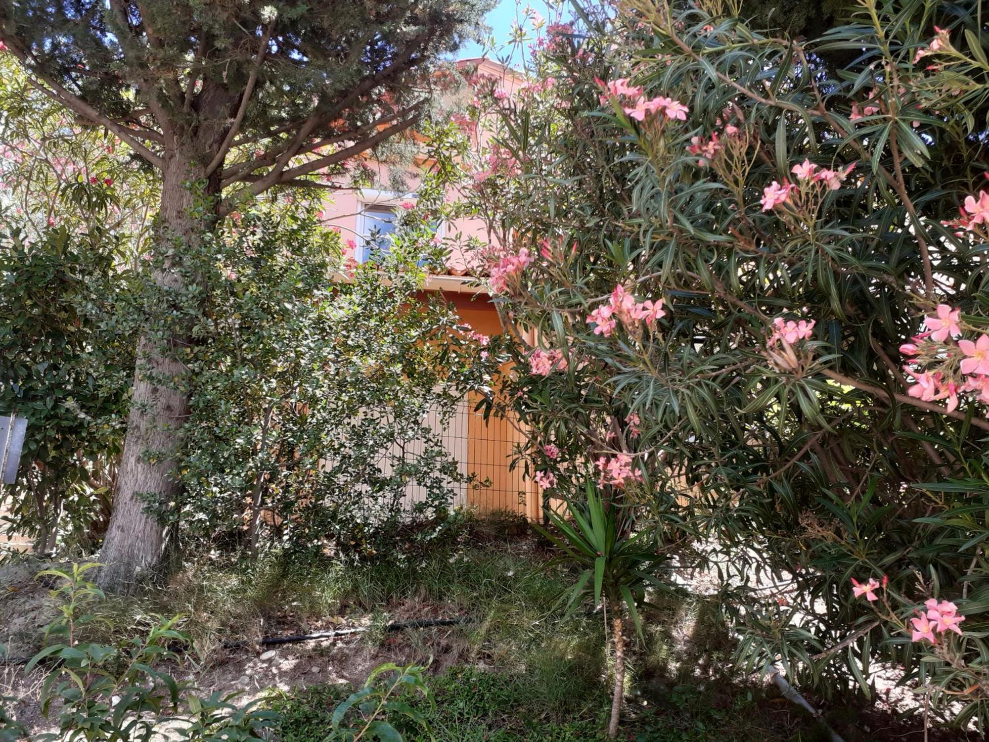 Bel Appartement Bord De Mer Cerbère Exterior foto